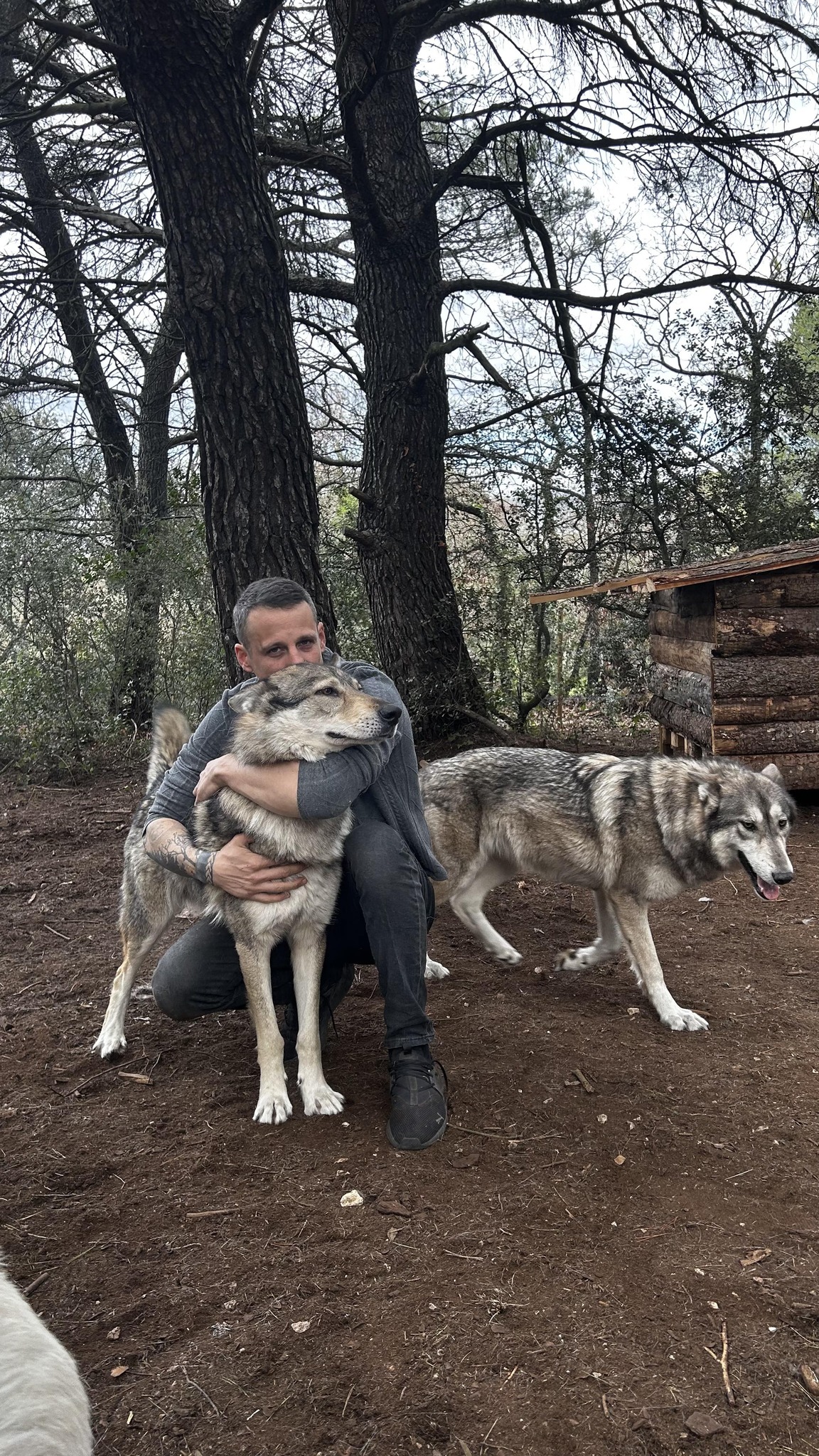 vincent avec ses chiens